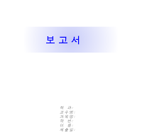 레포트표지 (7) 레포트표지 (7)